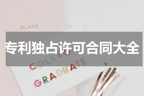 专利独占许可合同大全