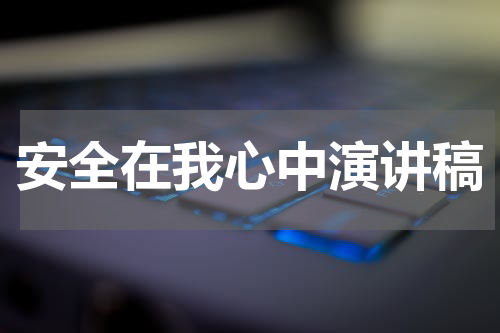 安全在我心中演讲稿