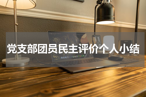 党支部团员民主评价个人小结