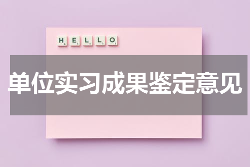 单位实习成果鉴定意见
