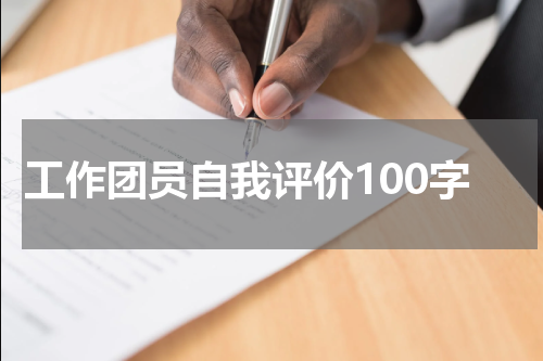 工作团员自我评价100字