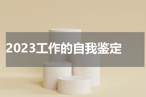 2023工作的自我鉴定