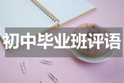 初中毕业班评语