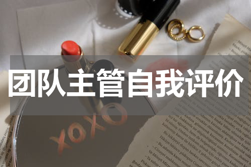 团队主管自我评价