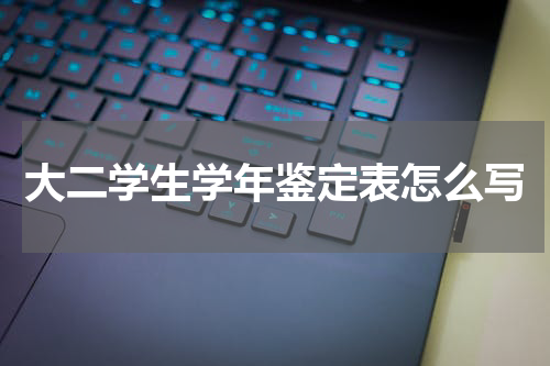 大二学生学年鉴定表怎么写