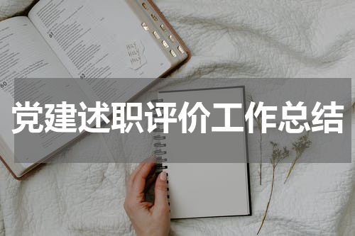 党建述职评价工作总结