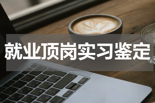 就业顶岗实习鉴定