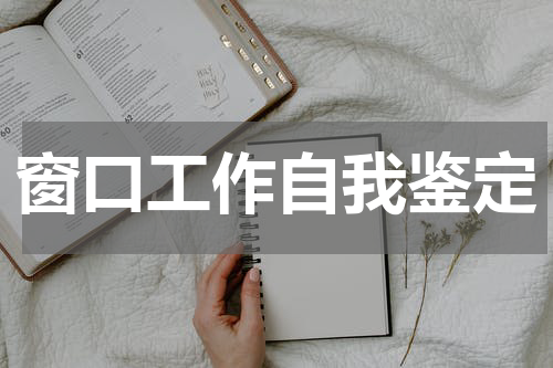 窗口工作自我鉴定