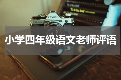小学四年级语文老师评语