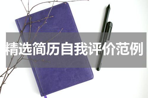 精选简历自我评价范例
