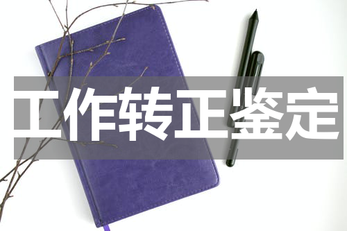 工作转正鉴定