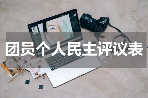 团员个人民主评议表
