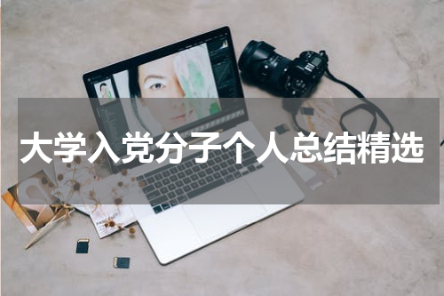 大学入党分子个人总结精选