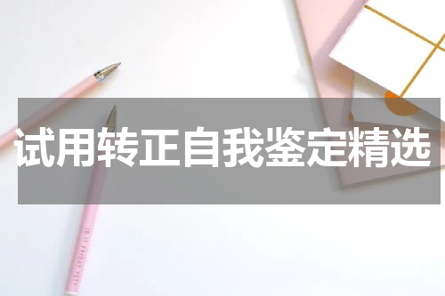 试用转正自我鉴定精选
