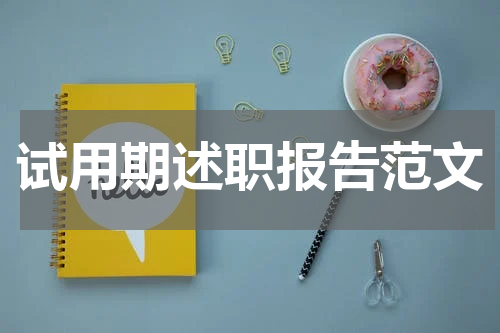 试用期述职报告范文