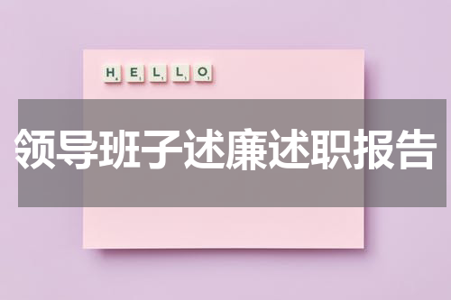 领导班子述廉述职报告