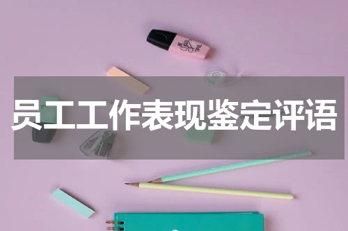 员工工作表现鉴定评语