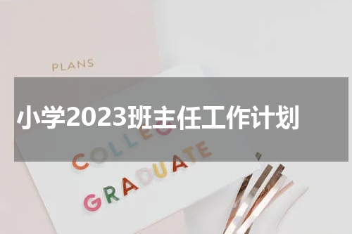 小学2023班主任工作计划