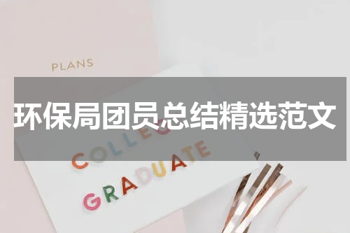 环保局团员总结精选范文