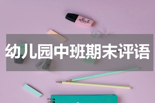 幼儿园中班期末评语