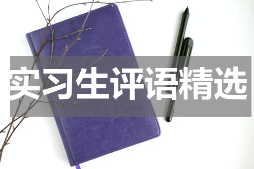 实习生评语精选