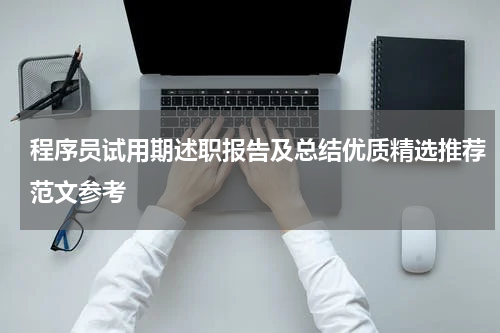 程序员试用期述职报告及总结优质精选推荐范文参考