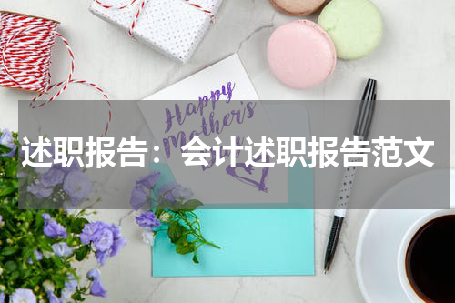 述职报告：会计述职报告范文