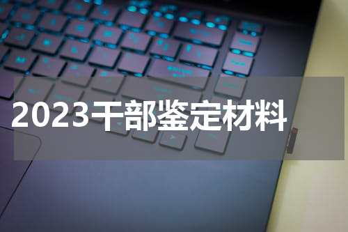 2023干部鉴定材料