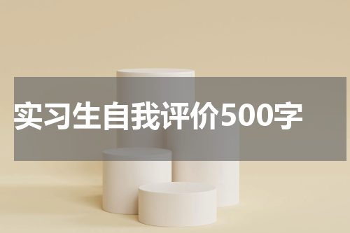 实习生自我评价500字