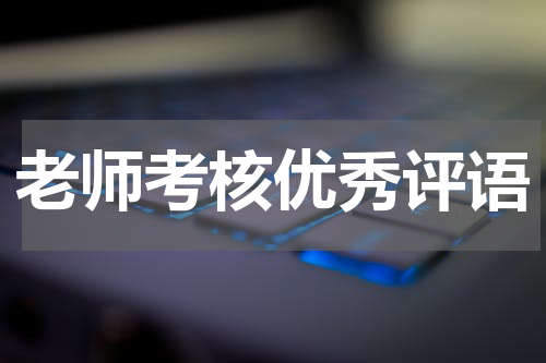 老师考核优秀评语