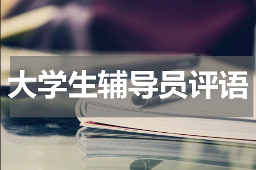 大学生辅导员评语