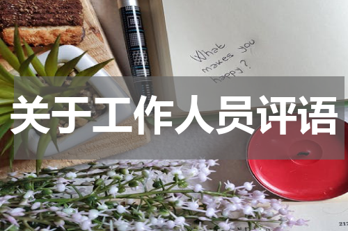 关于工作人员评语