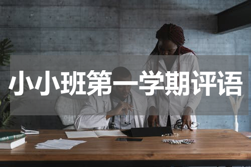 小小班第一学期评语