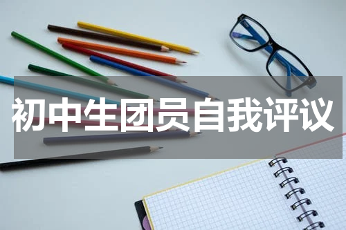 初中生团员自我评议