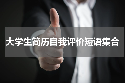 大学生简历自我评价短语集合