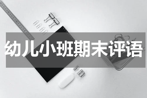 幼儿小班期末评语