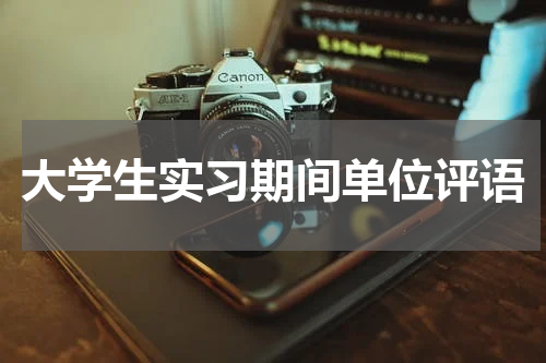 大学生实习期间单位评语