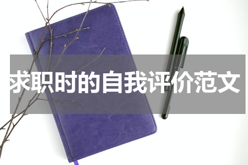 求职时的自我评价范文