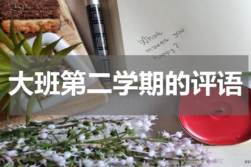 大班第二学期的评语