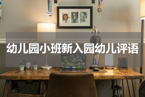 幼儿园小班新入园幼儿评语
