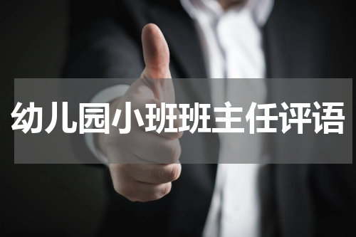 幼儿园小班班主任评语