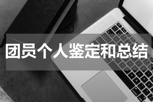 团员个人鉴定和总结