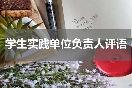 学生实践单位负责人评语