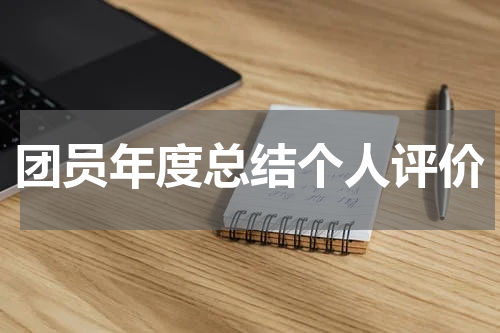 团员年度总结个人评价