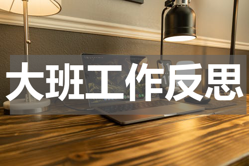 大班工作反思