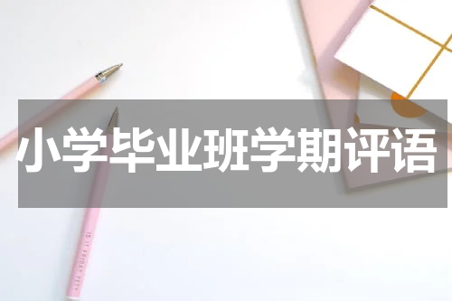 小学毕业班学期评语