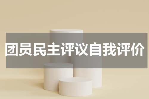 团员民主评议自我评价