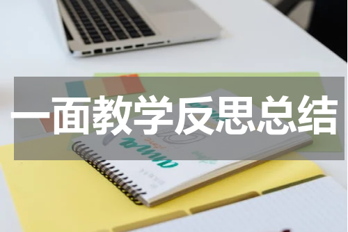 一面教学反思总结