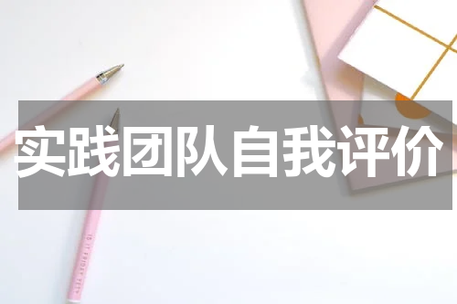 实践团队自我评价