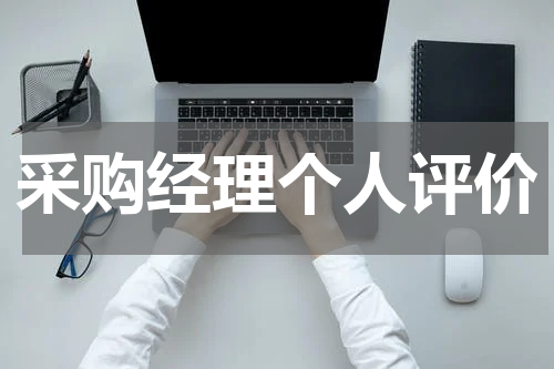采购经理个人评价
